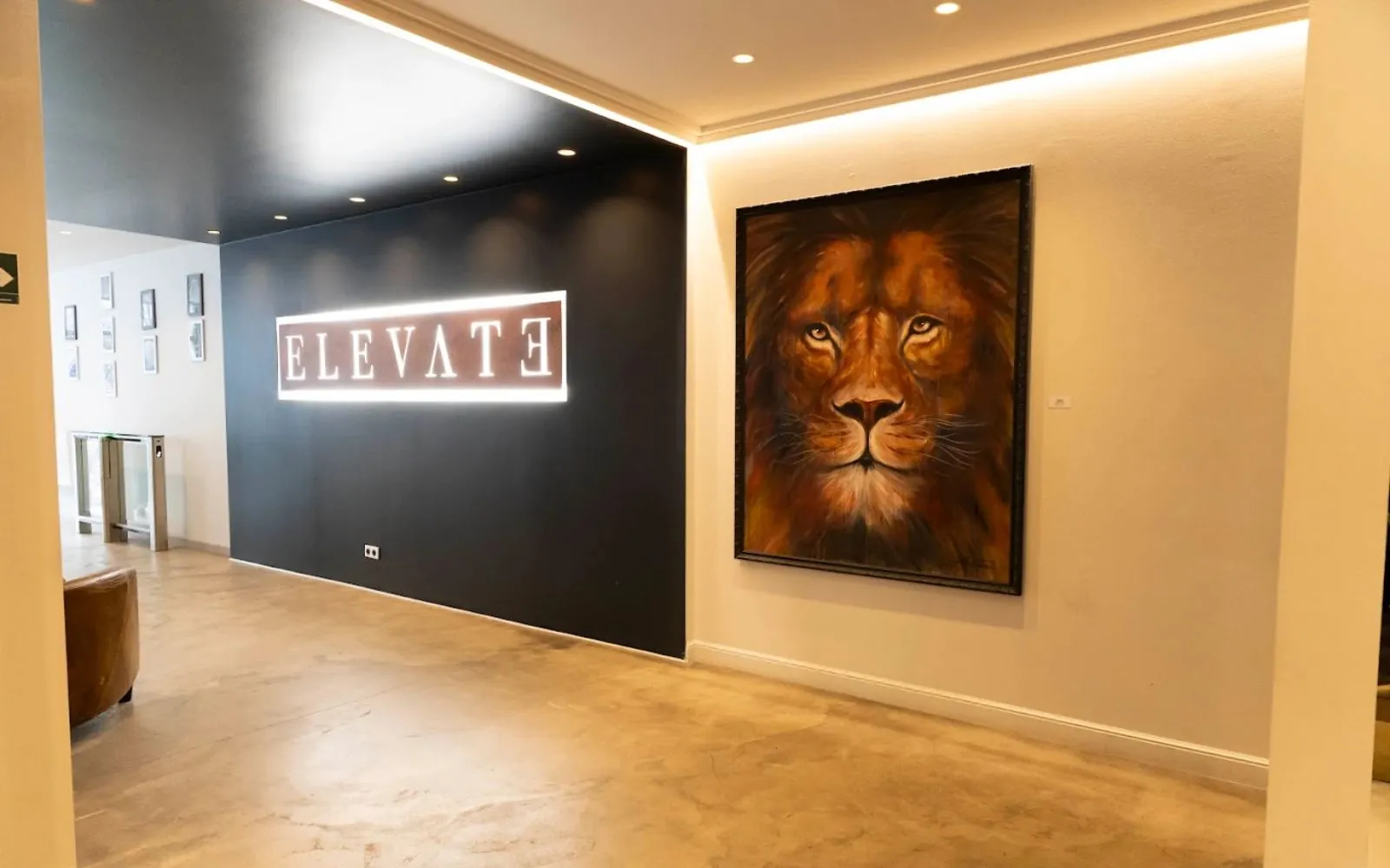Elevate Chartrons